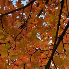 Little Miss Sadness (SYWC version)