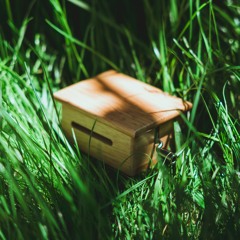 Joana's Music Box Demo - Faz-nos Um