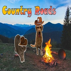 Country Roads, Take Me Home (Dog & Cat Version)