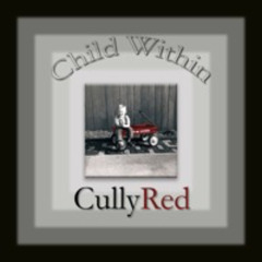 Bourbon Street, from the album, Child Within, by Cullyred