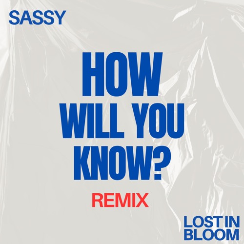 How Will You Know (SASSY Remix)
