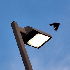 fine through your teeth