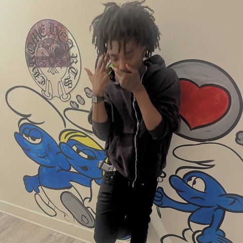 pradabagshawty - rari diss (snippet)