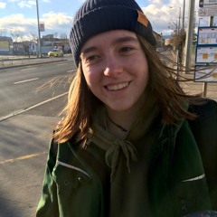 please never fall in love again (sonechka cover)