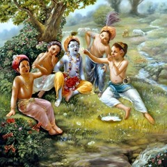Hare Krishna Kirtan @Stoufville by HG Devakinandan Das MVG