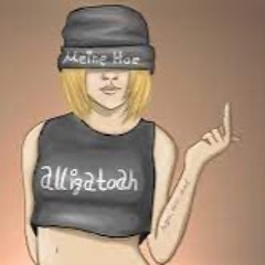 Alligatoah - Meine Hoe (Bootleg)