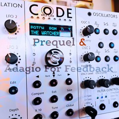 Prequel And Adagio For Feedback
