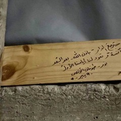 ياراحلين عن الحياه وساكنين بأضلعى