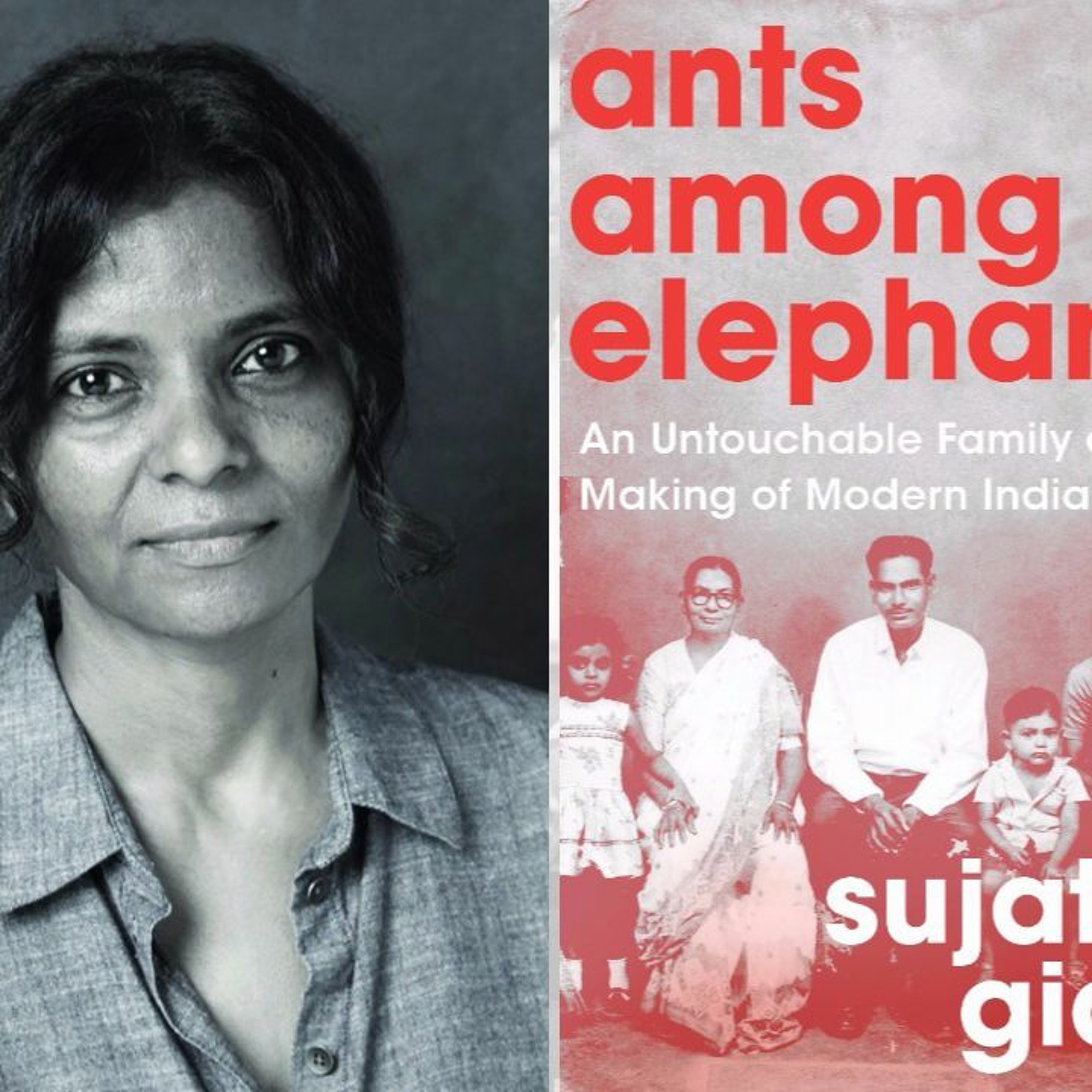 Caste, Class And Race  Writing, Rights And Violence episode artwork