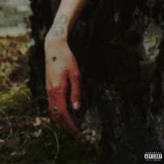 glaive - the way everything has to be **FULL AI ALBUM**