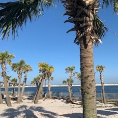 THE OCEAN IS MY HOME