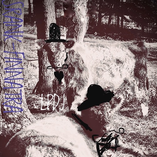 SRANK-FINATRA(LDSR#207/2)