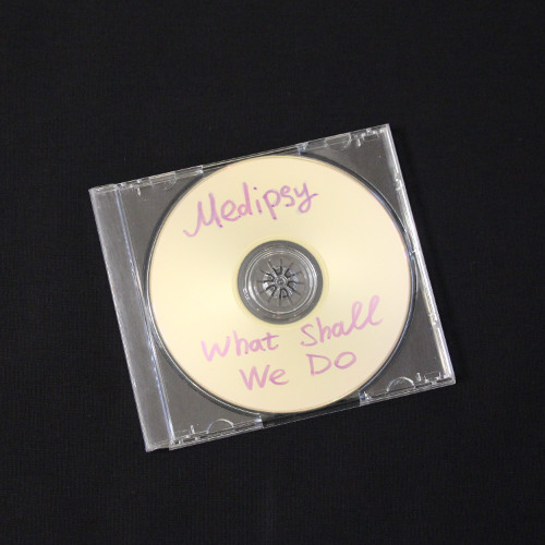 Medipsy_-_What_Shall_We_Do_(original)