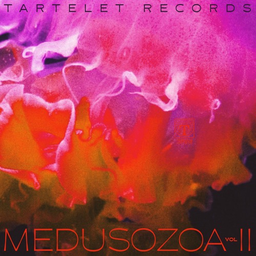 Max Graef - DB 4 [Tartelet Records]