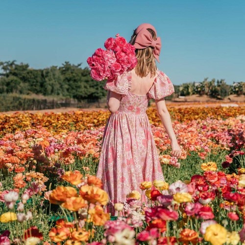 Picking Flowers