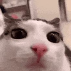 sepmtemtpber