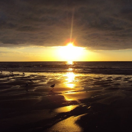 Lockdown Sessions 3 By Michael More