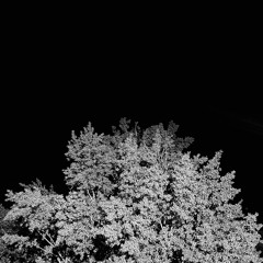 sts002_keuner
