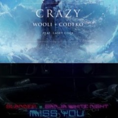 SLANDER/Ganja White Night - Miss You X Wooli & Codeko - Crazy (feat. Casey Cook) - Mashup