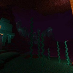 Nether Track