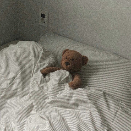 𝐓𝐞𝐝𝐝𝐲 𝐁𝐞𝐚𝐫