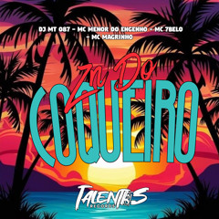 Zn do coqueiro