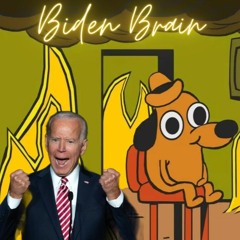 Ep 340 The media blitz to defend Biden's brain