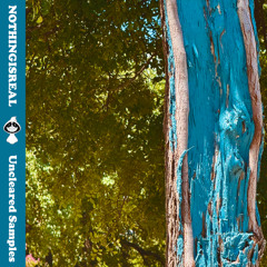 Uncleared Samples [full tape]