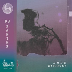 DJ PANTHR - MIDNIGHT MIND (SILK140)