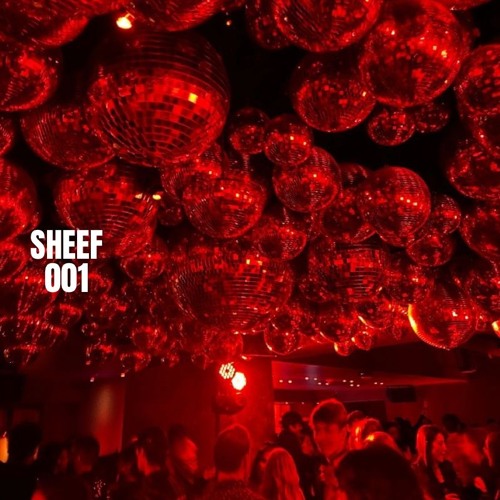 SHEEF | Set #001 - 28.08.24