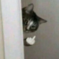 Audios for edits🗿✅