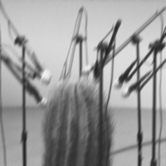 PREMIERE: Léo Patt - Cobalt [FIGN53]