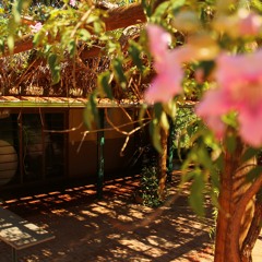 05.11.2021  - Cap. VII - Bem Aventurados os Pobres de Espírito - Mistérios Ocultos aos Sábios... (6)