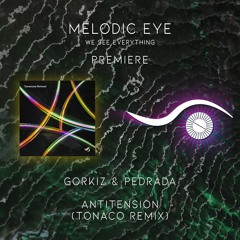 PREMIERE: Gorkiz & Pedrada - Antitension (Tonaco Remix) [Transensations Records]