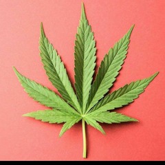 HERBALIST