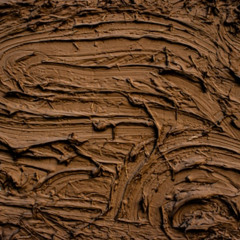 Mississippi Mud