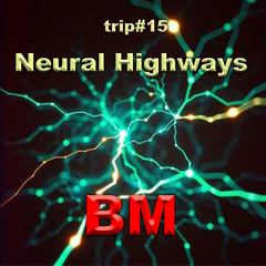 Neural Highways