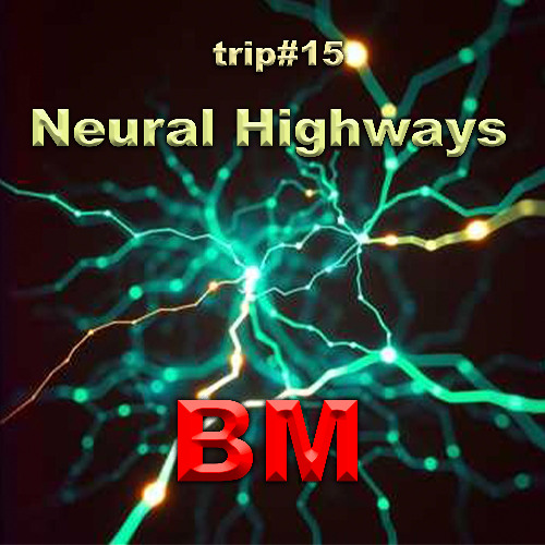 Neural Highways