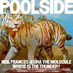 Poolside and Ora The Molecule - Where Is The Thunder? (NEIL FRANCES Remix)