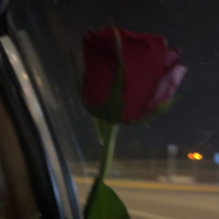 ‎⁨"عايز أعمل اي حاجه عشان ارضيكِ"⁩