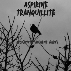 Aspirine Tranquillité - Monolithe Intérieur II