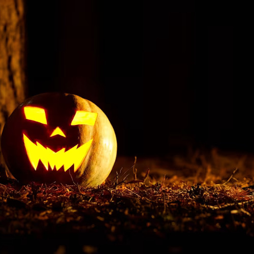 Haunted by the Moonlight