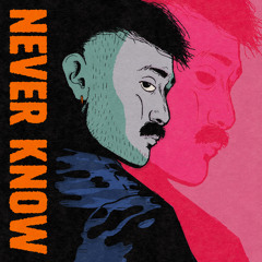 Never Know