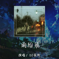 DJ筱轩 - 雨纷飞 「雨纷飞 飞在天空里是我的眼泪」【動態歌詞/pīn yīn gē cí】 #DJ筱轩 #雨纷飞 #動態歌詞 #LyricsVideo