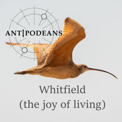 Whitfield (The Joy Of Living) Ewan McColl cover