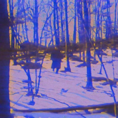 COLDD [prod. poi$un 陽]