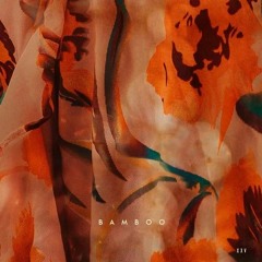 LADS - Tin Pan Alley (Original Mix) [Nie Wieder Schlafen] Bamboo EP