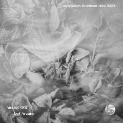 Amulet 067: Joel Arcane