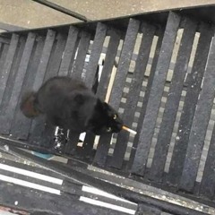 Another Somebody (OLD) prod. dash