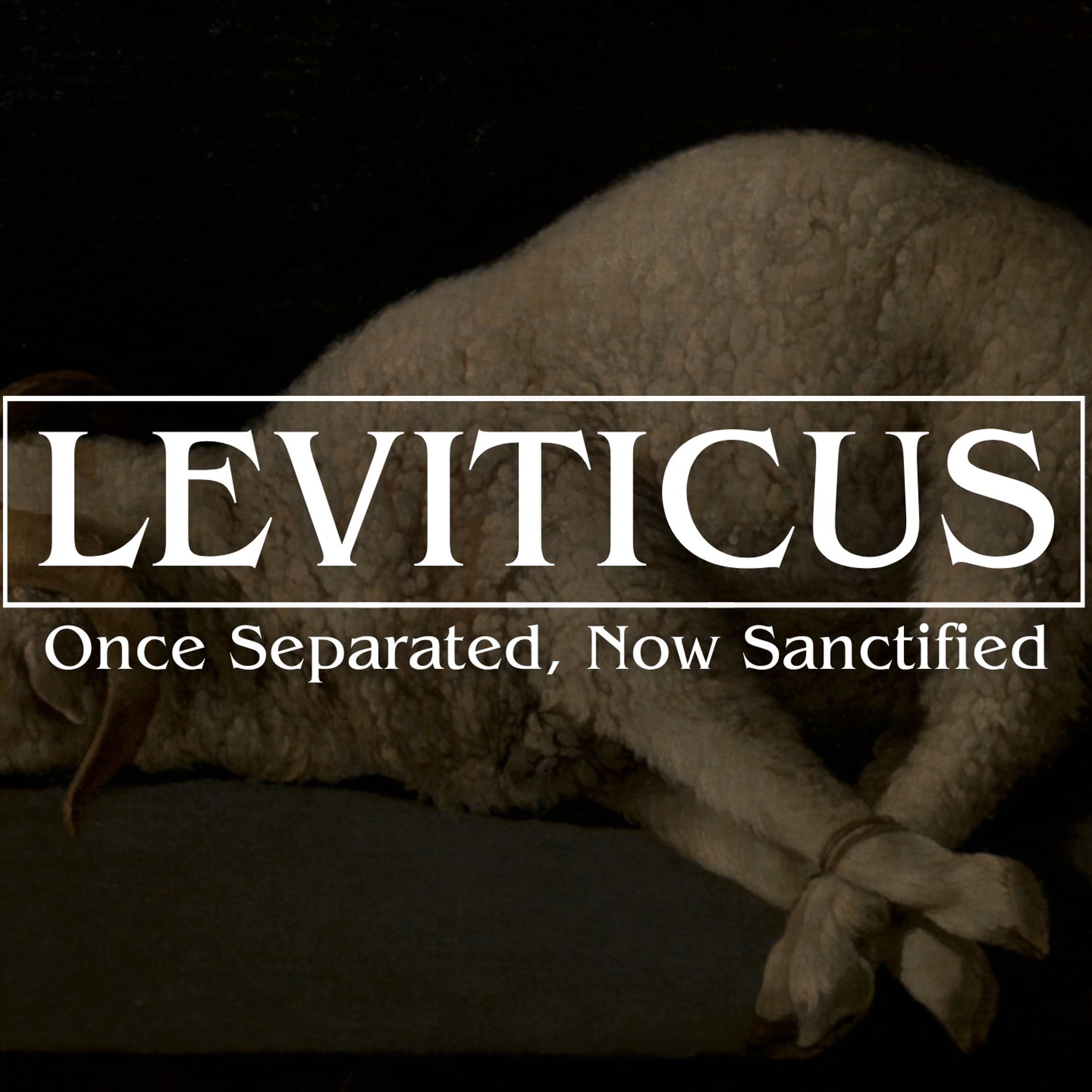 “Worship God’s Way (Leviticus 6:8-7:38)" | 2/4/24 episode artwork